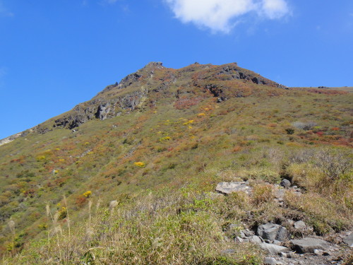 c0179351_8284713.jpg