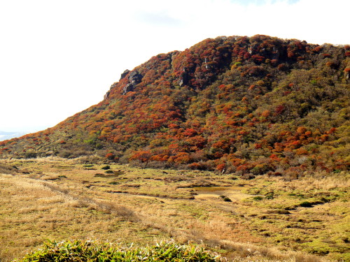 c0179351_9315086.jpg