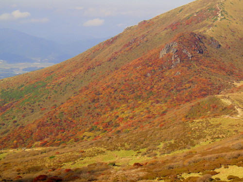 c0179351_9334226.jpg