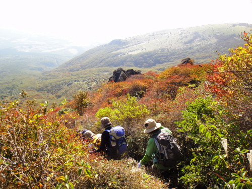 c0179351_935467.jpg