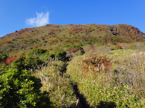 c0179351_9363119.jpg