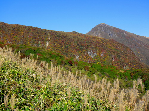 c0179351_939218.jpg