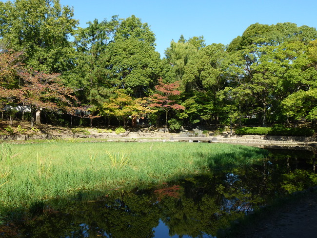 e0126054_12294411.jpg