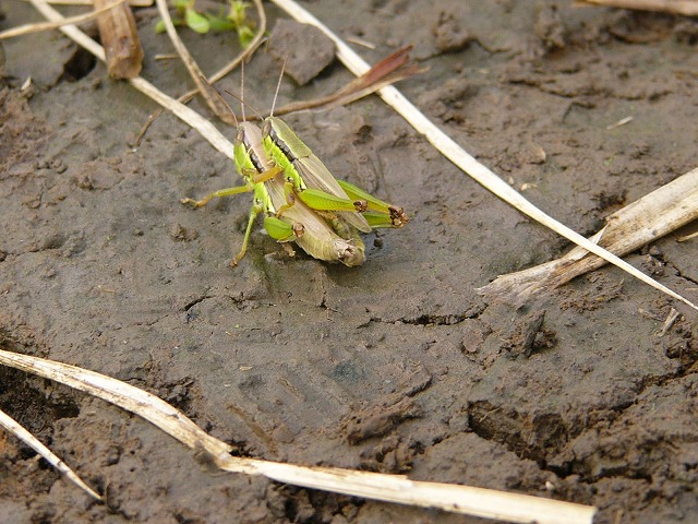 b0218664_9364130.jpg