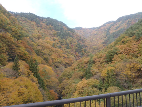 f0186368_18315413.jpg