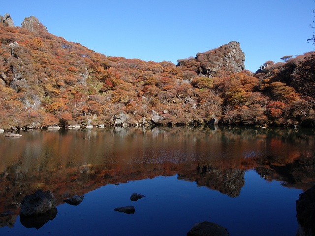 c0042869_1123278.jpg