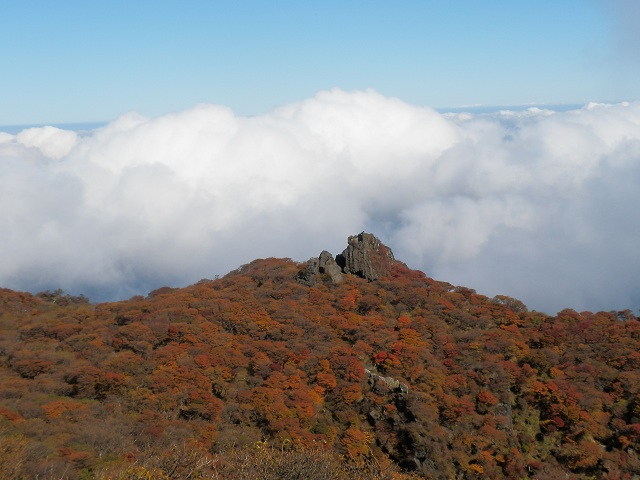 c0042869_11254532.jpg
