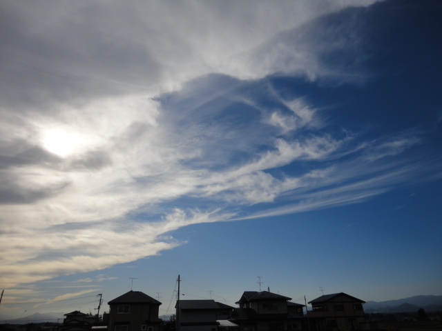 a0038370_21444169.jpg