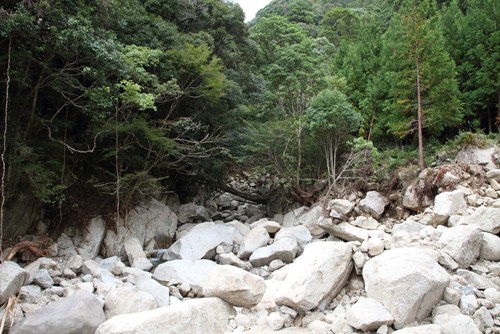 b0138370_22325055.jpg