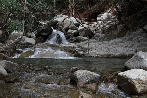 b0138370_22331387.jpg
