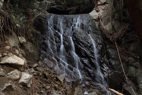 b0138370_2235195.jpg