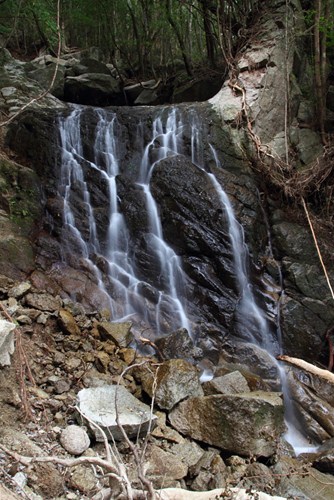 b0138370_22352791.jpg