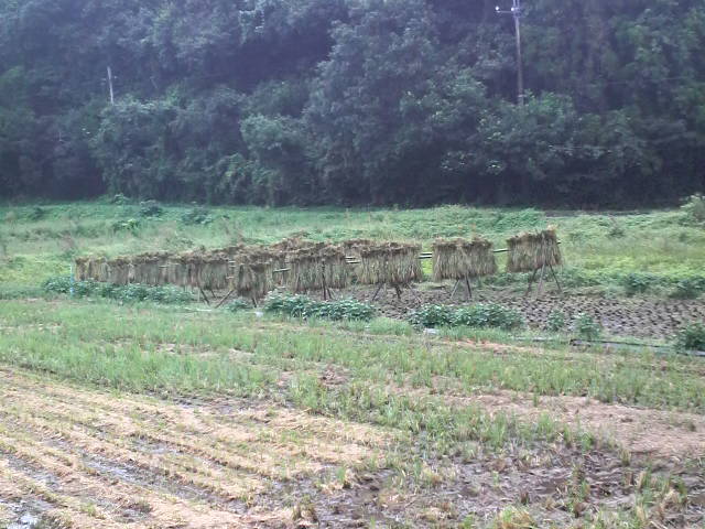 b0034072_10553290.jpg