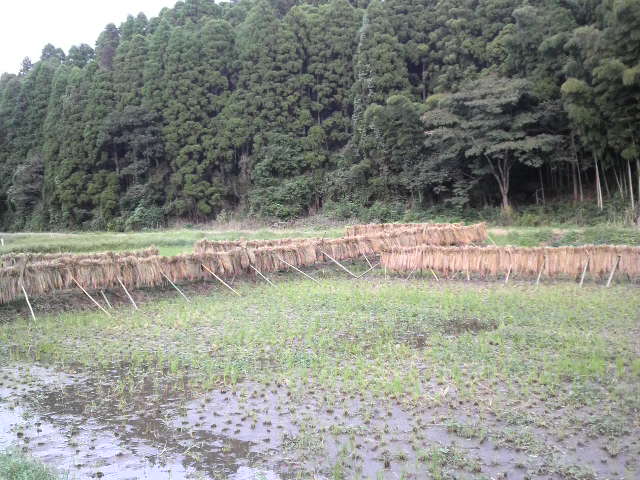 b0034072_1056199.jpg