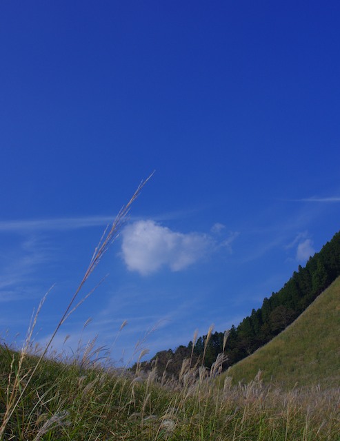 a0142976_1554728.jpg