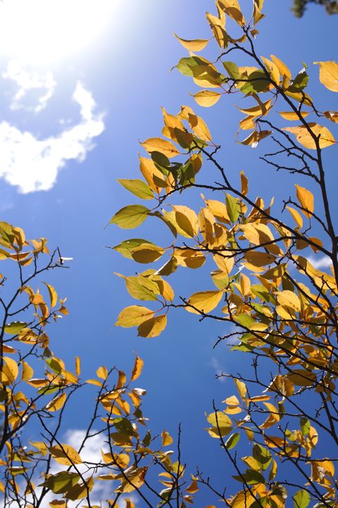 b0072176_8474813.jpg
