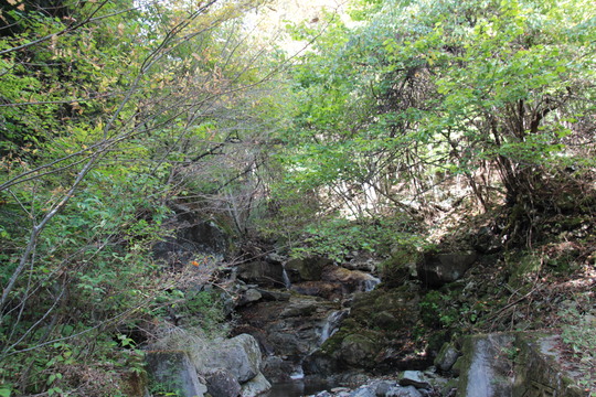 e0024081_19543977.jpg