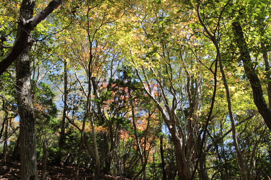 e0024081_1956142.jpg