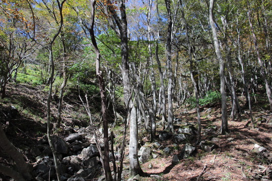 e0024081_19571100.jpg