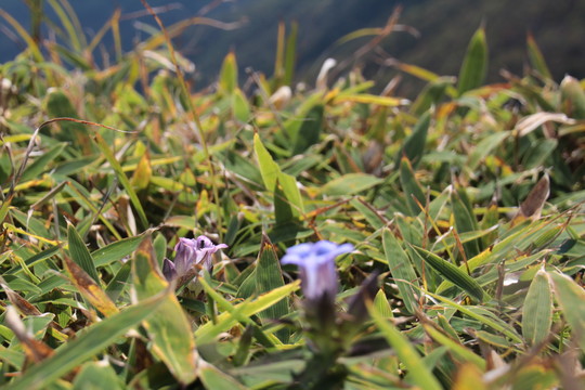 e0024081_19582287.jpg