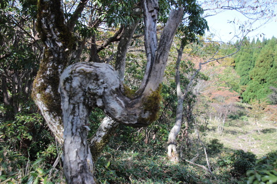 e0024081_202129.jpg