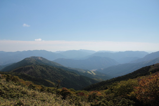 e0024081_2022189.jpg
