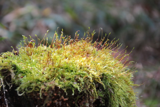 e0024081_2025214.jpg
