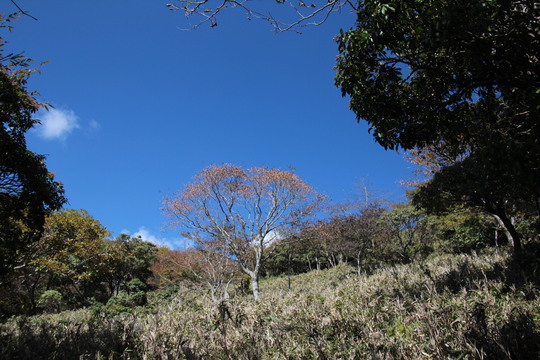 e0024081_2025474.jpg