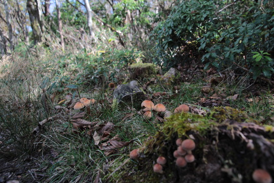e0024081_2035982.jpg