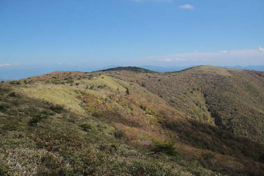 e0024081_2053270.jpg