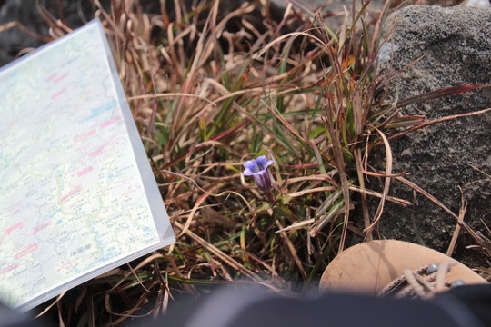 e0024081_2054725.jpg