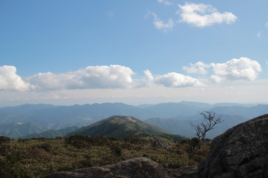 e0024081_207594.jpg