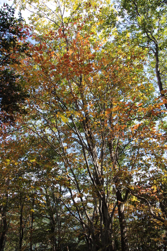 e0024081_208090.jpg