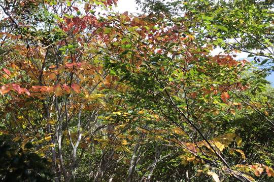 e0024081_2082575.jpg