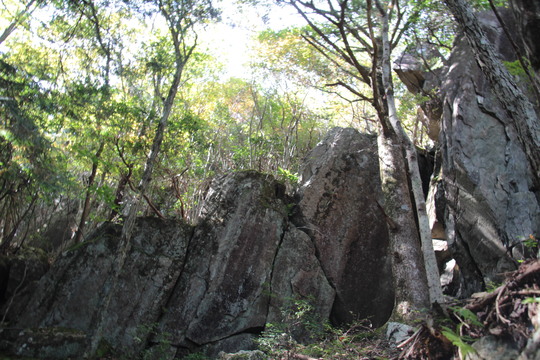 e0024081_2085897.jpg