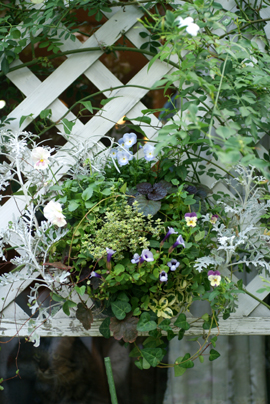 f0166982_20102226.jpg