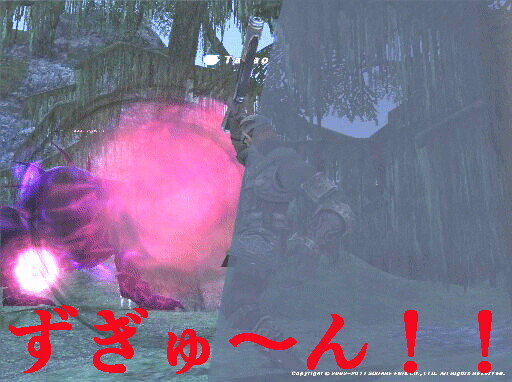 c0037384_10294299.gif