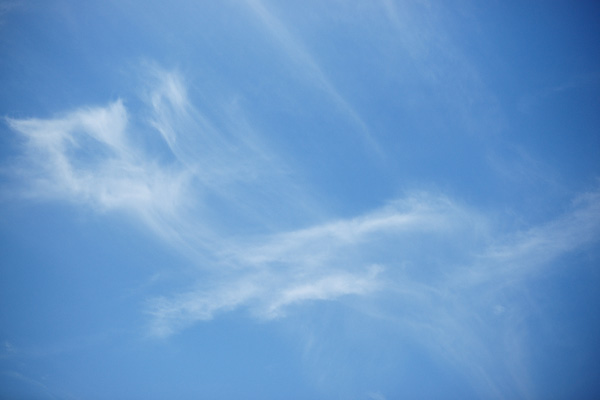 c0203584_17113240.jpg