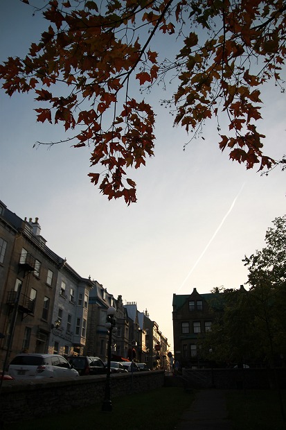 f0238184_826543.jpg