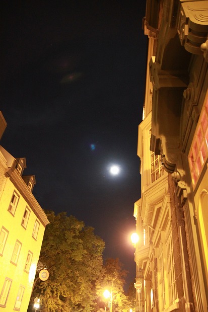 f0238184_8451789.jpg