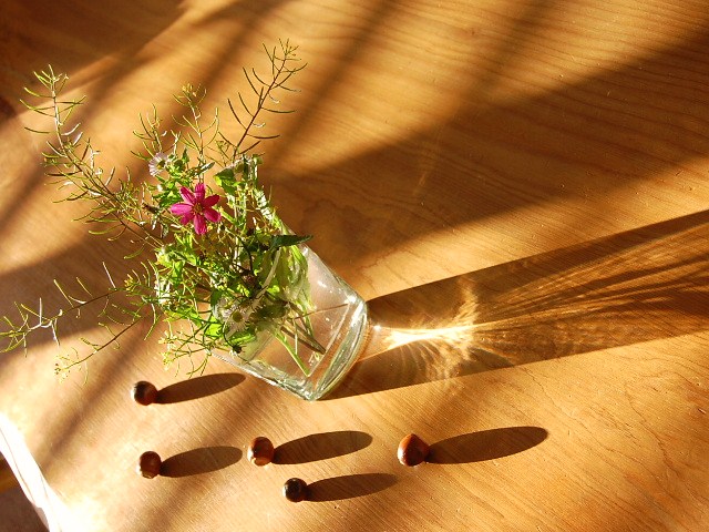 a0175888_20422536.jpg