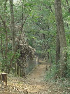 e0023790_0334663.jpg