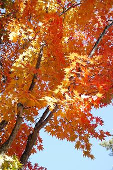 a0091891_15191544.jpg