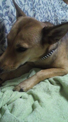 b0206300_95048100.jpg