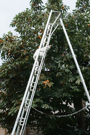 f0239100_1542015.jpg