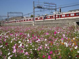 d0090001_21205184.jpg