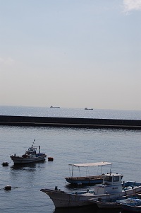 b0189603_16403911.jpg