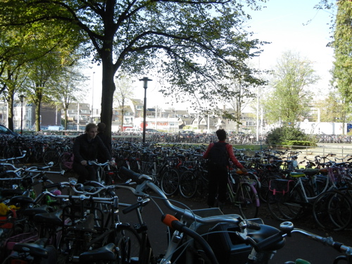 e0073103_18341410.jpg