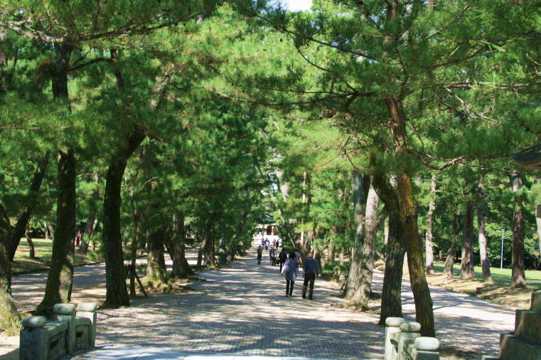 f0031304_6182024.jpg