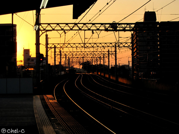 a0154706_1781469.jpg